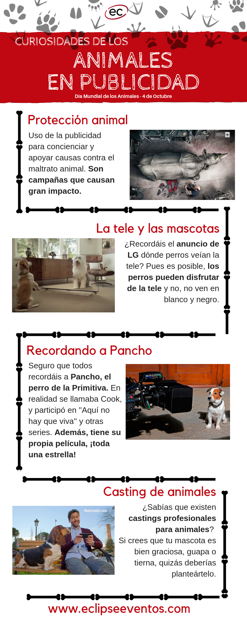 Mirilla Canciones infantiles traductor Animales en publicidad - Agencia de publicidad, eventos y comunicación